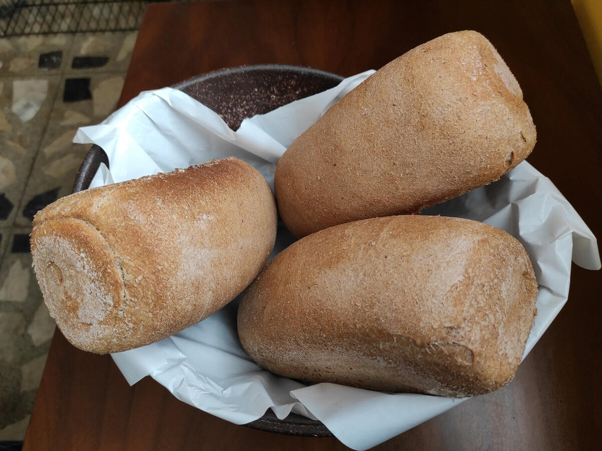 Pão de Forma Integral